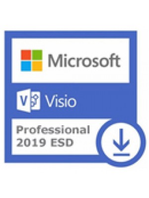 D87-07425 Microsoft Visio Professional 2019 